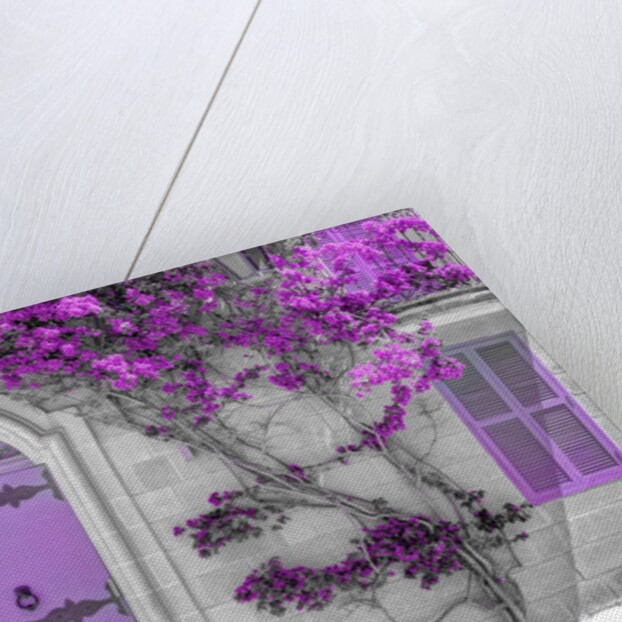 Maltese house in Mdina, Malta by Assaf Frank